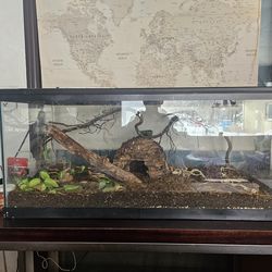 Reptile Tank/Enclosure -3' x 18" x 17"