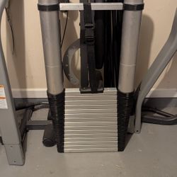 Telescopic Ladder