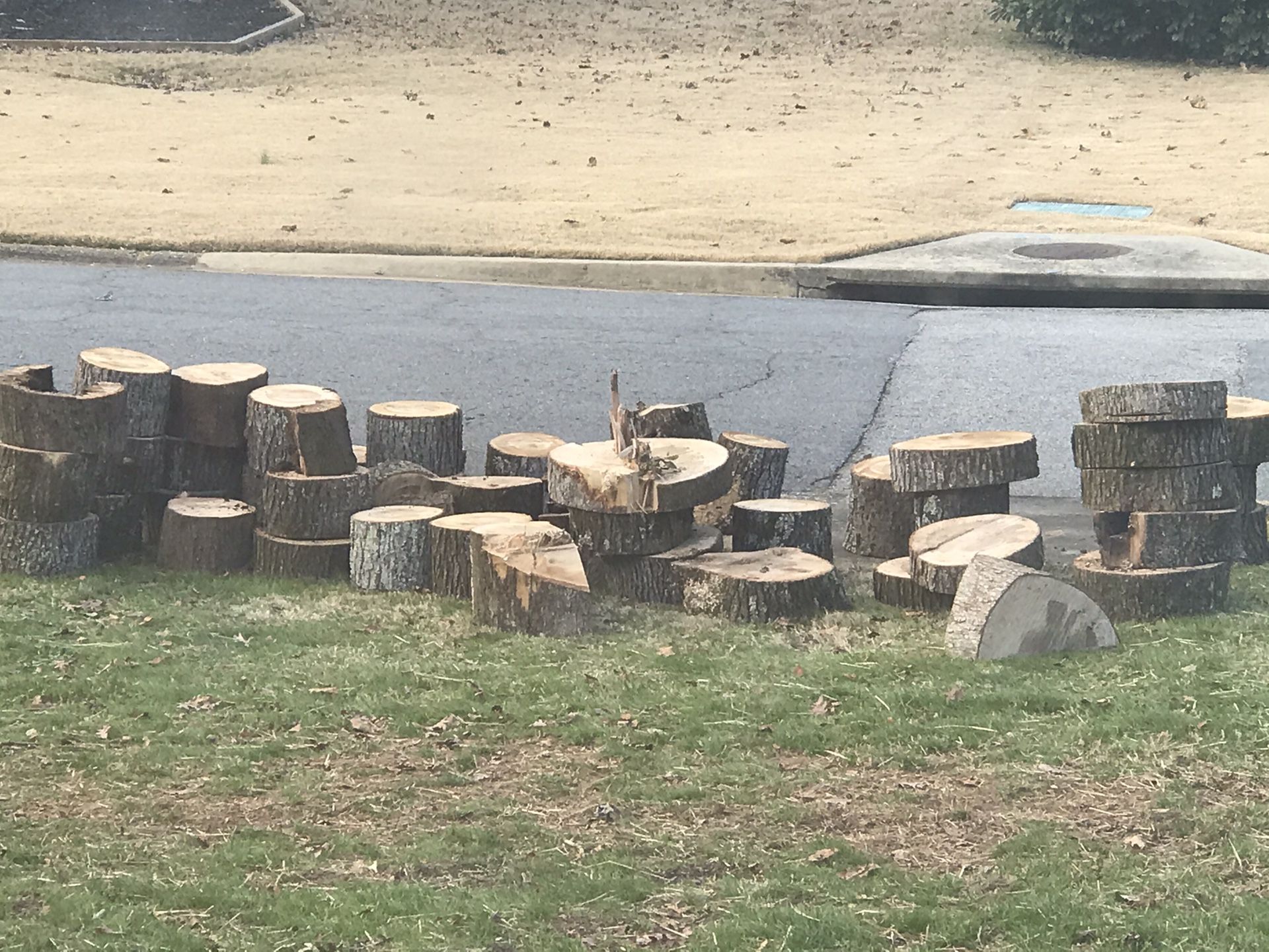 Free wood fire wood / ready for pickup in my front yard / Marietta East cobb