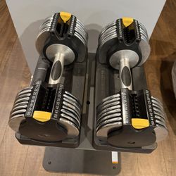 Adjustable Dumbbells Gold's Gym - Switch Plate 100