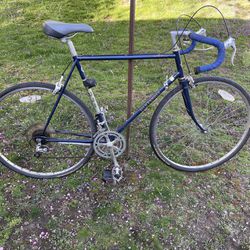 Vintage Fuji Espree Road Bike