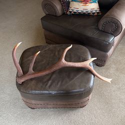 Elk Ivory Horn.