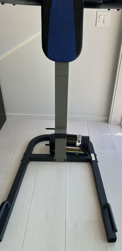 ProGear 275 Extended Capacity Power Tower Fitness Station for Sale in Sausalito CA OfferUp