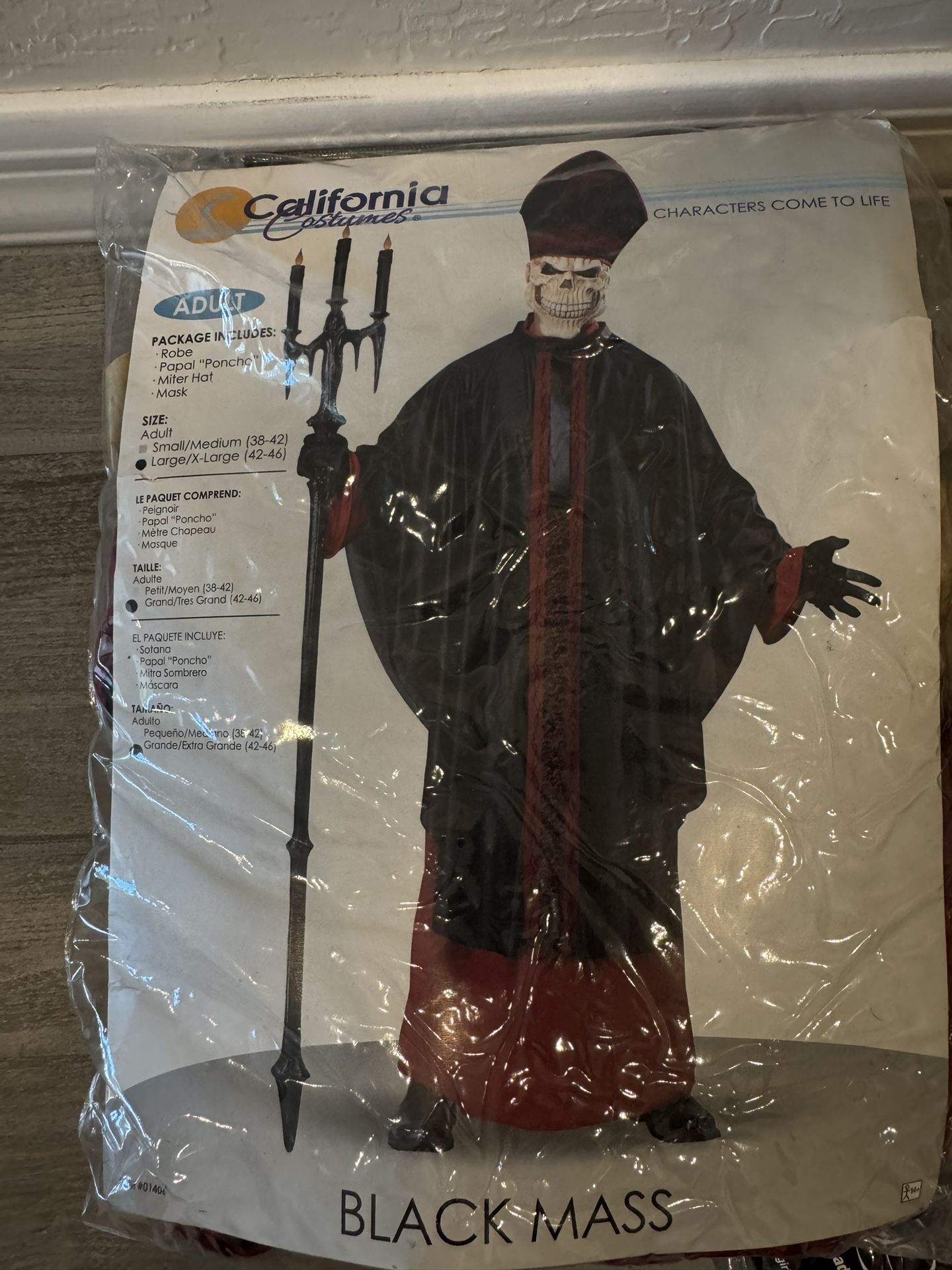 Halloween Costume 