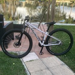 Specialized rockhopper Mountain Bike