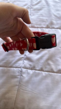 Red Heart Dog Collar