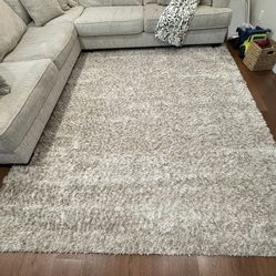 Living Room Rug