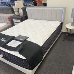 Queen Size LED Platform Bed Frame