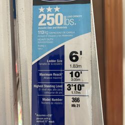 6 FT.Aluminum Werner Ladder 