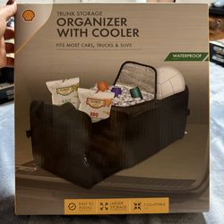 TRUNK STORAGE ORGANIZER WITH COOLER 