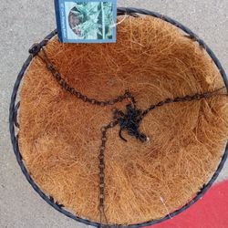 Hanging Flower Basket New $REDUCED $10