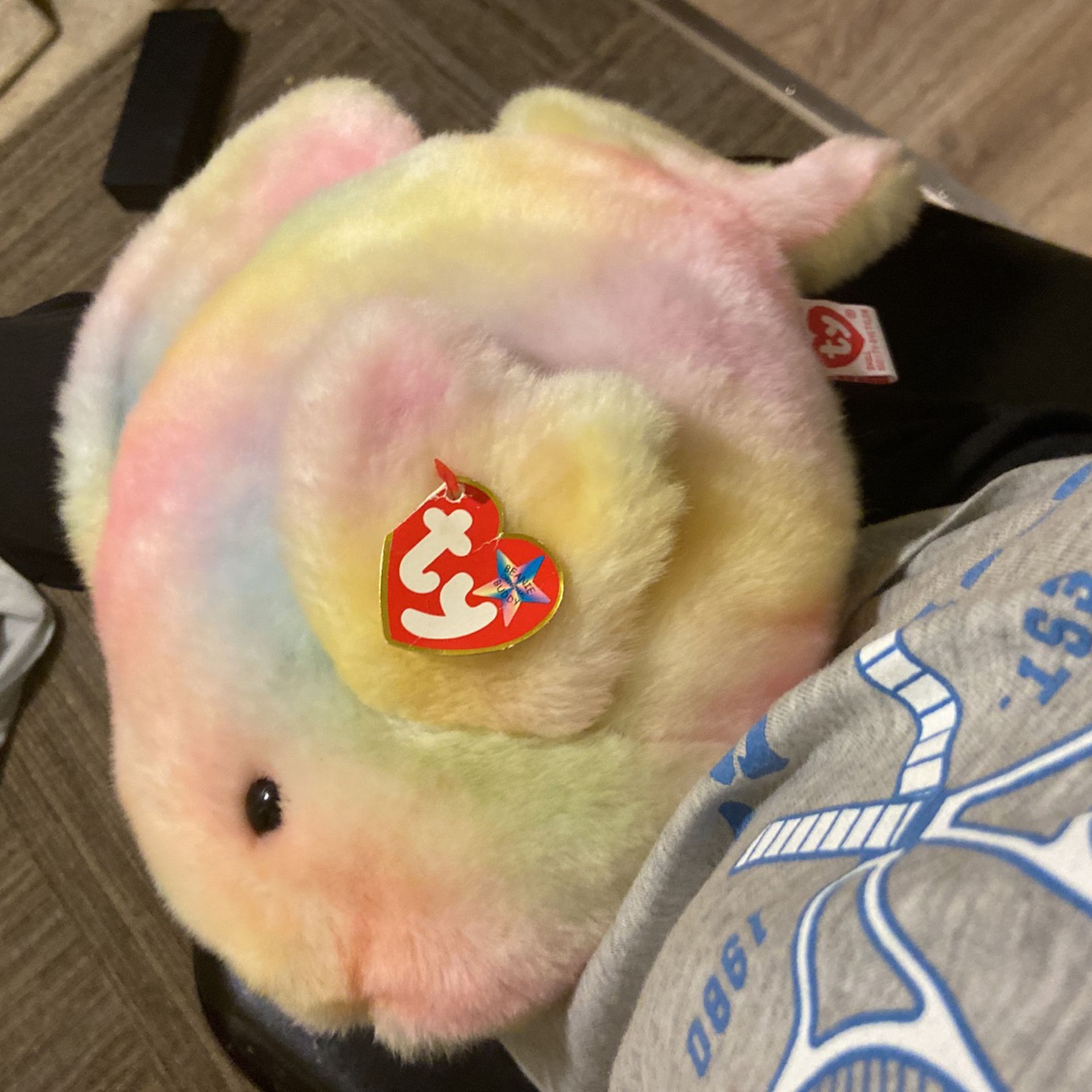 This Is A Fish Beanie Baby