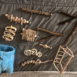 Stuff For A Parakeet Cage