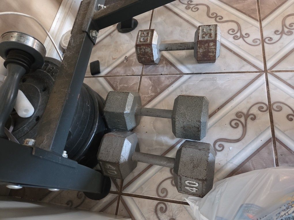 Weights & Bench Press