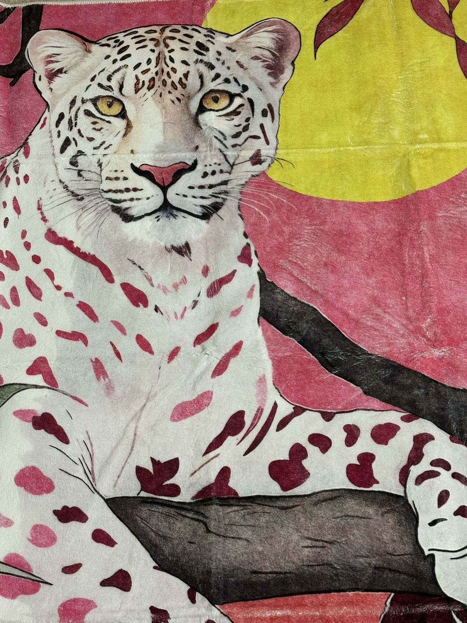 Brand New Area Rug Pink 5x7 Feet Lepeord With Sunset