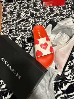 coach slides