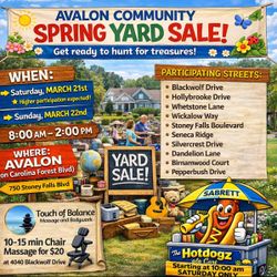 Avalon Community Yard Sale 