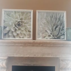 Two Framed Prints Flowering Succulent