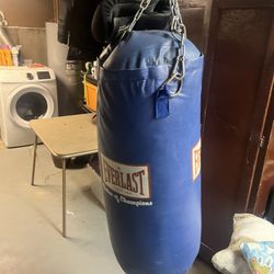 Heavy Bag Everlast Includes Pair Of Gloves 