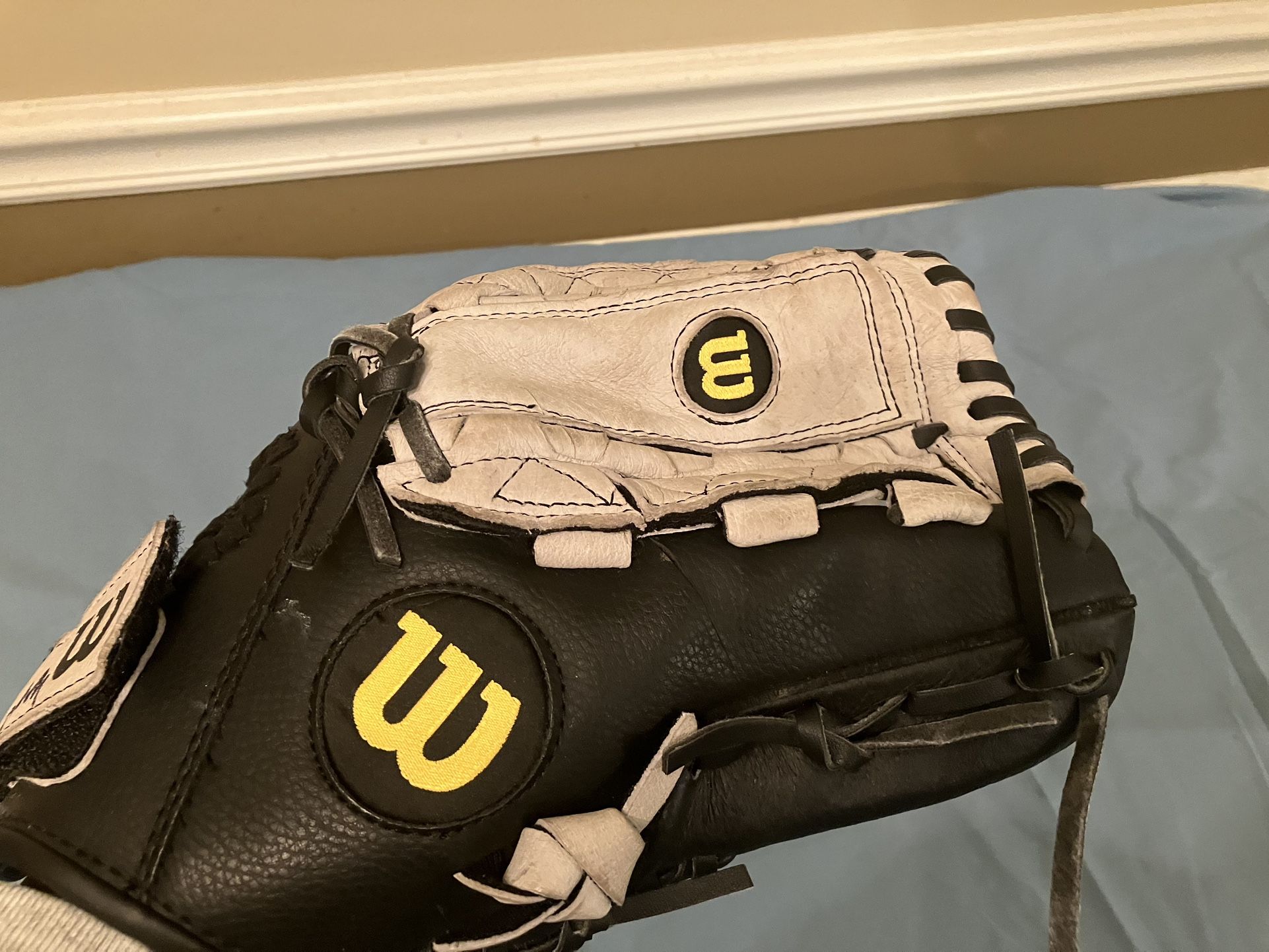 Wilson A350 Baseball Glove