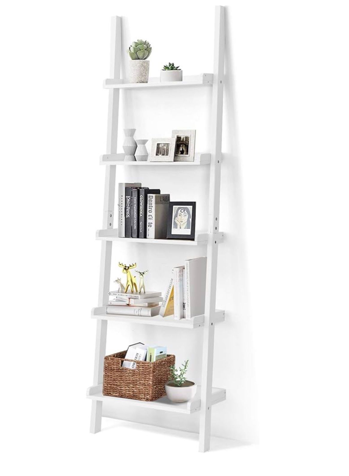 5 tier Shelf