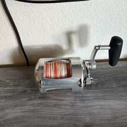 T-RX Avet Reel