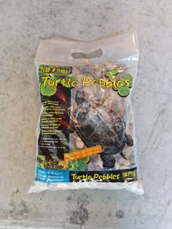 Turtle Pebbles