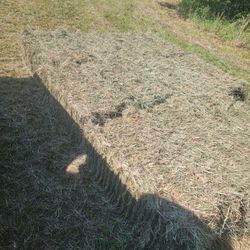 Soft, Short Cut Horse Hay
