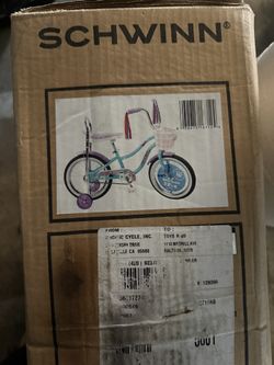 Schwinn Coroner