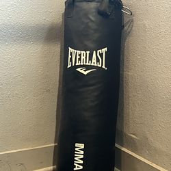 50 Lb Everlast Punching Bag