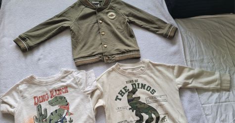 Boy 3T Dino Lot 3 Pieces Gently Used