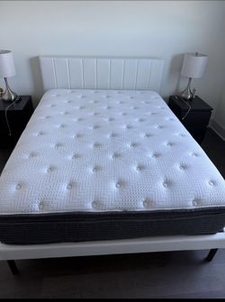 Ultimate bed frames in twin full king queen sizes mattresses and box spring available!