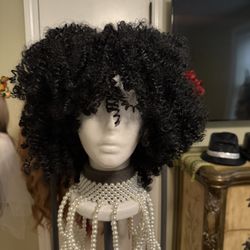Wig/ Black Beauty 