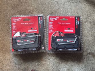 Milwaukee M18 Red Lithium XC 5.0 2 Pack