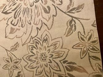 Area Rug 5' x 7'