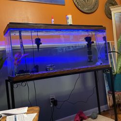 Aquarium 55gallon Tank with 55 gallon Tank Stand 