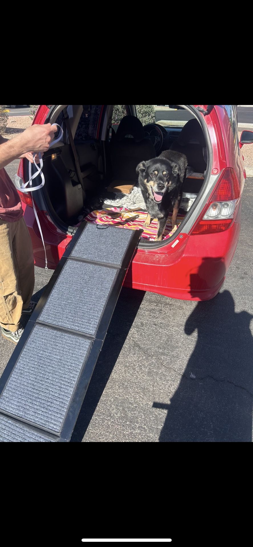 Dog Ramp