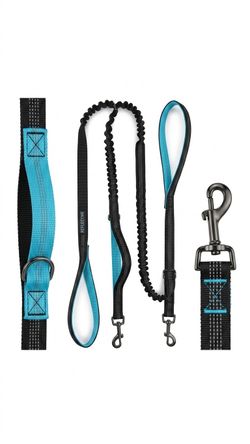 Dog leash