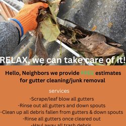 GUTTER CLEANING & More..