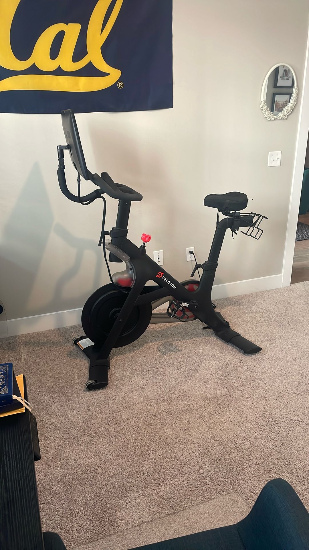 Peloton Bike