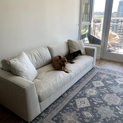 Poly & Bark Couch