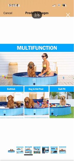Foldable dog pool