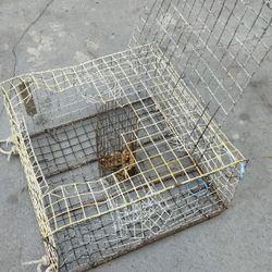 Crab Trap