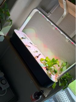 Click and Grow