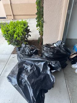 70+ Pairs Shoes Bulk Lot – Nike Dunks, Adidas, UGG & Handmade Leather
