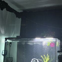 55 Gallon Fish Tank