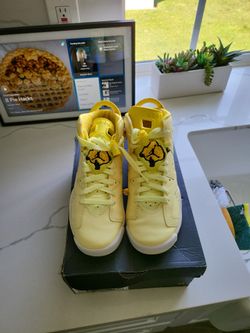 Air Jordan 6 Retro