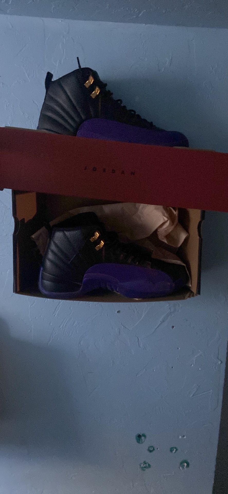 Jordan Retro 12 Black/field Purple