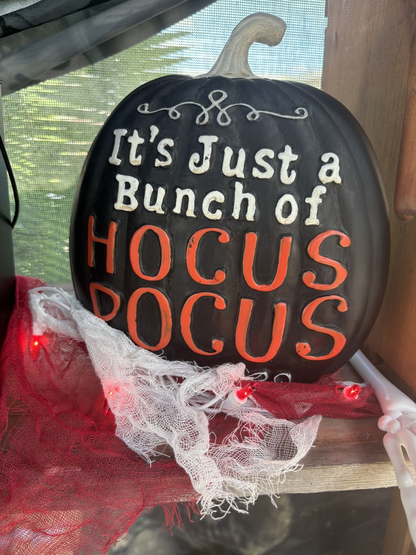 Hocus Pocus Pumpkin…..Please Read Description!