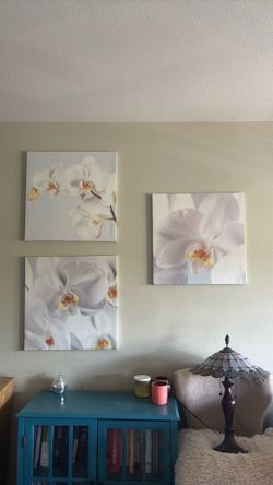 Orchid canvas artwork x 3